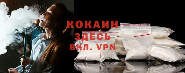 дурь Вяземский