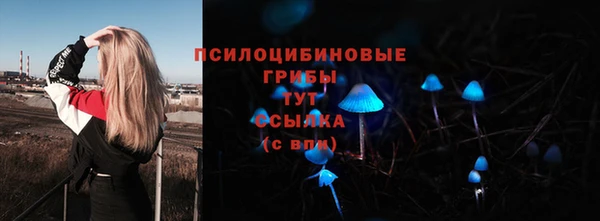 прущая мука Горнозаводск