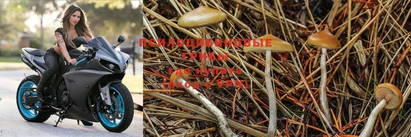 марки nbome Горняк