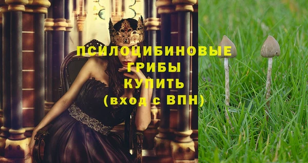 марки nbome Горняк