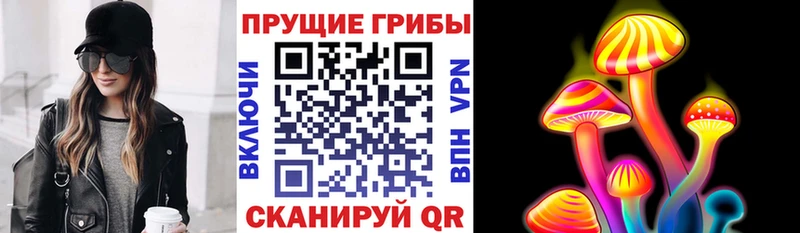 Псилоцибиновые грибы MAGIC MUSHROOMS  Черкесск 